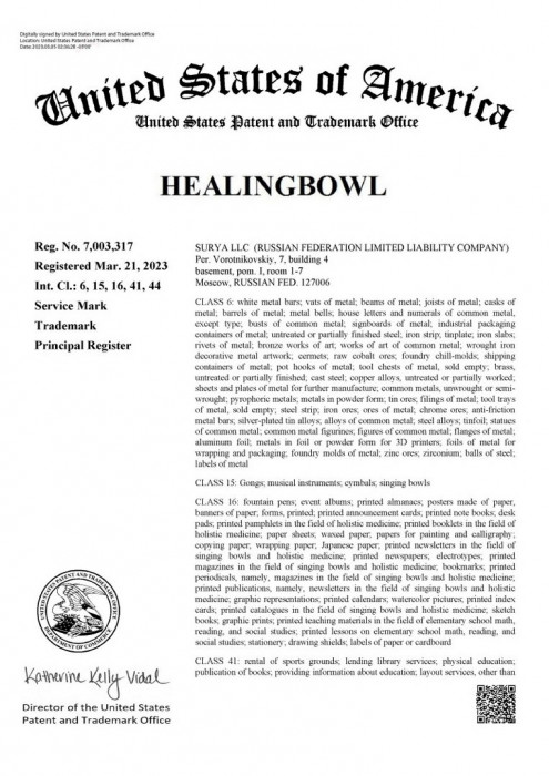 Регистрация товарного знака Healingbowl® в разных странах мира - изображение 2
