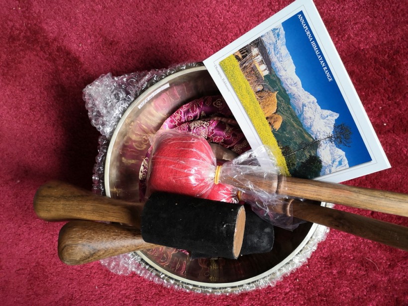 Методики доктора Сурикова в монастырях Непала, поющие чаши Healingbowl®, 2017 - 2025) - изображение 8